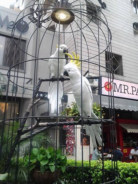 20140420_152432.jpg