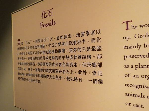 IMG_7728.JPG