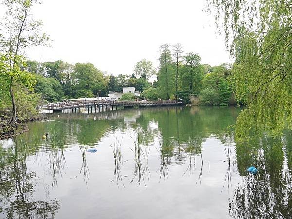 吉祥寺1