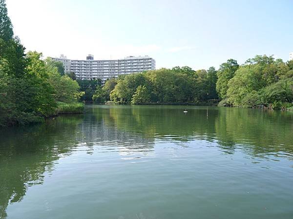 吉祥寺2