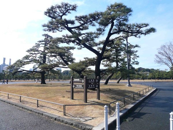 P1000210.JPG