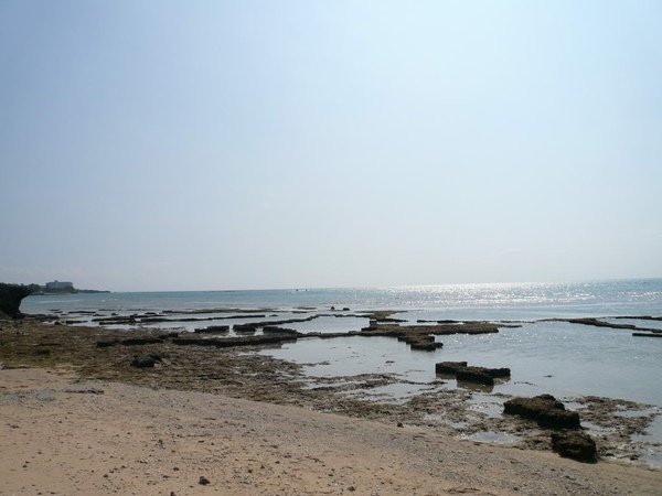 P1090832_調整大小.JPG