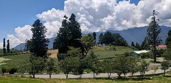 清境合歡山福壽山