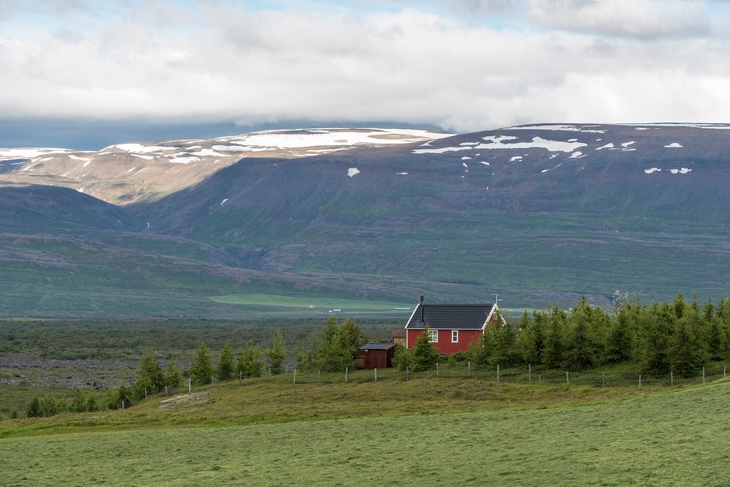 _DSC8576.jpg