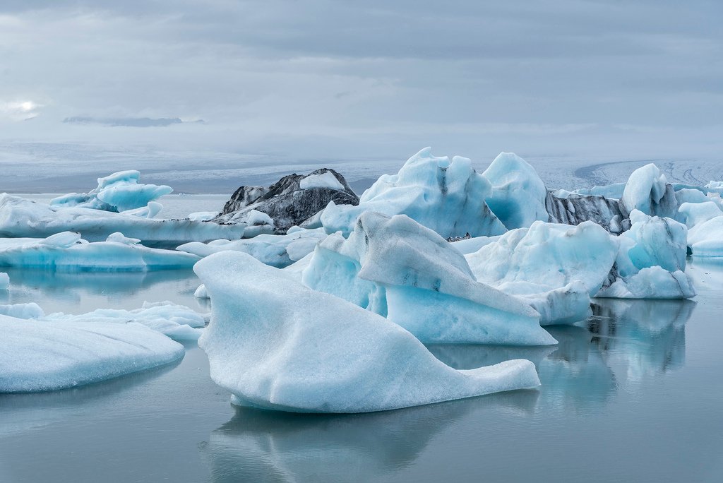 _DSC9310.jpg