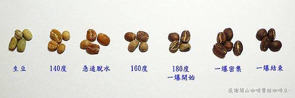 Coffee Bean Roast Timeline