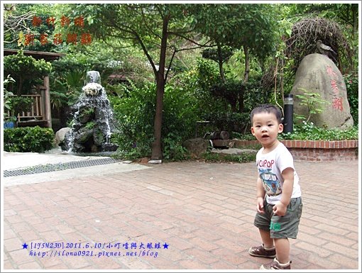 DSCF9651.JPG