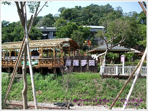 龍騰舊山線鐵道過去的後面全都是喆娟夢田