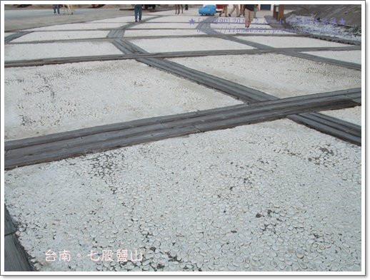 DSCF8654.JPG
