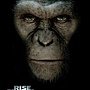 猩球崛起 Rise of the Planet of the Apes.jpg