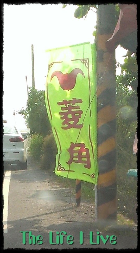 菱角7.jpg