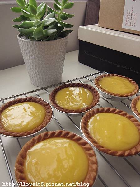 Nicole-lemon pie-4.JPG
