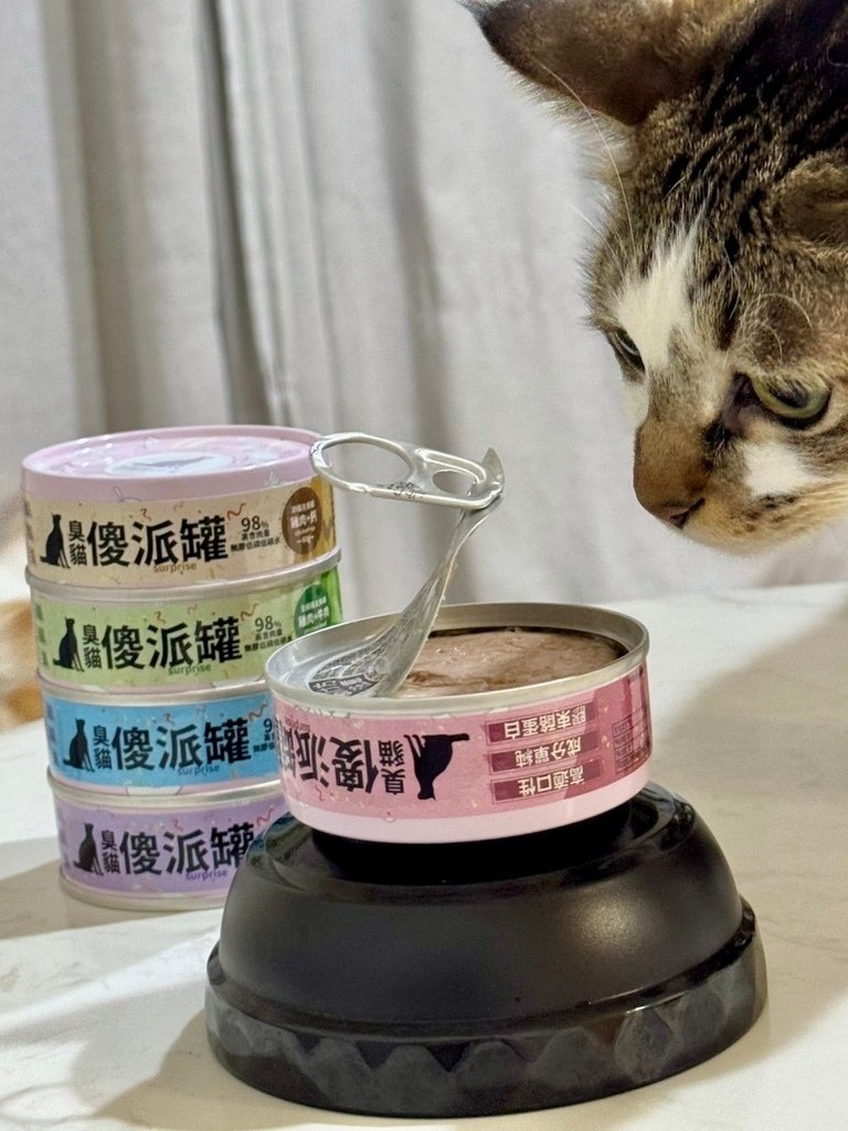 臭貓動物園 傻派主食罐