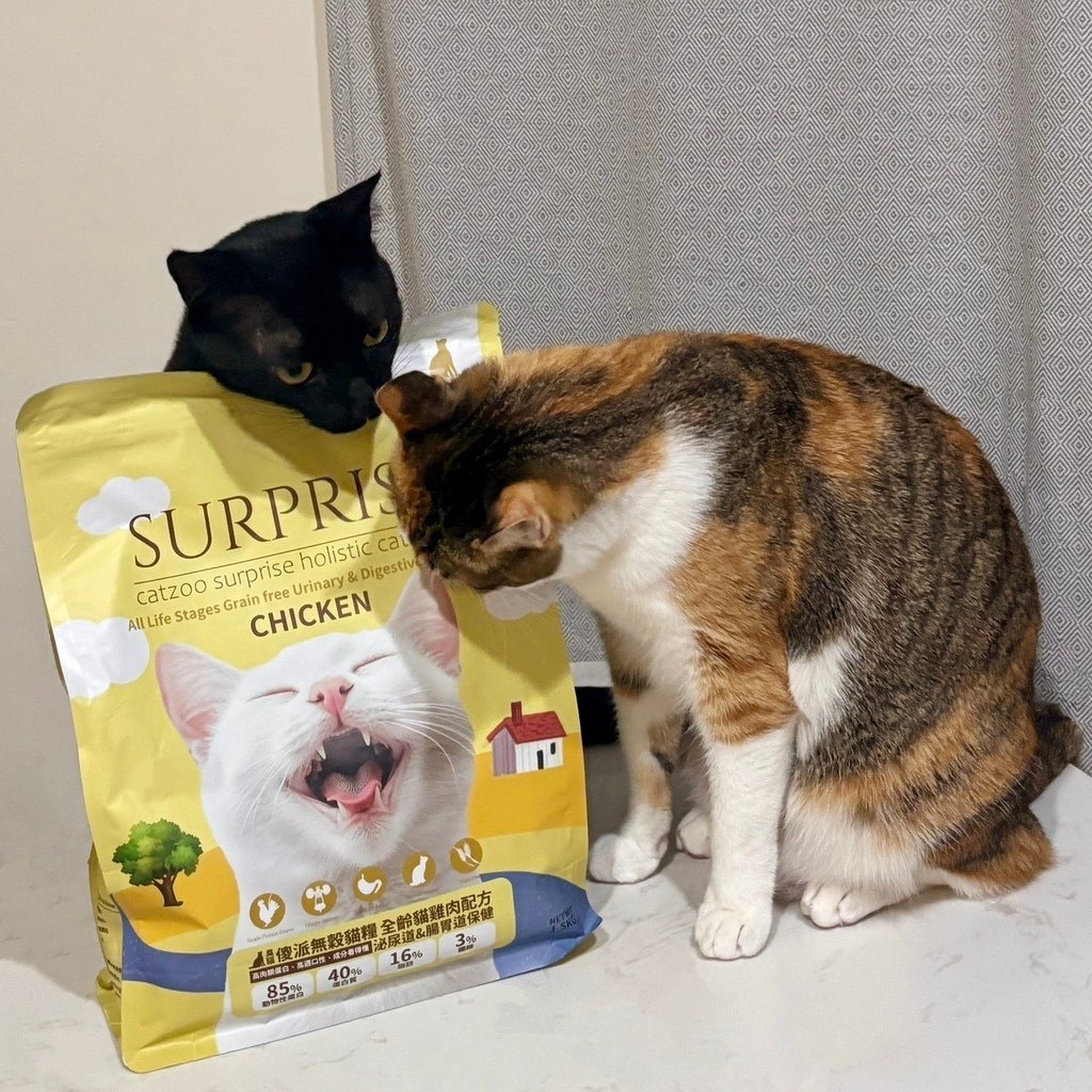 臭貓傻派 surprise 無穀貓糧