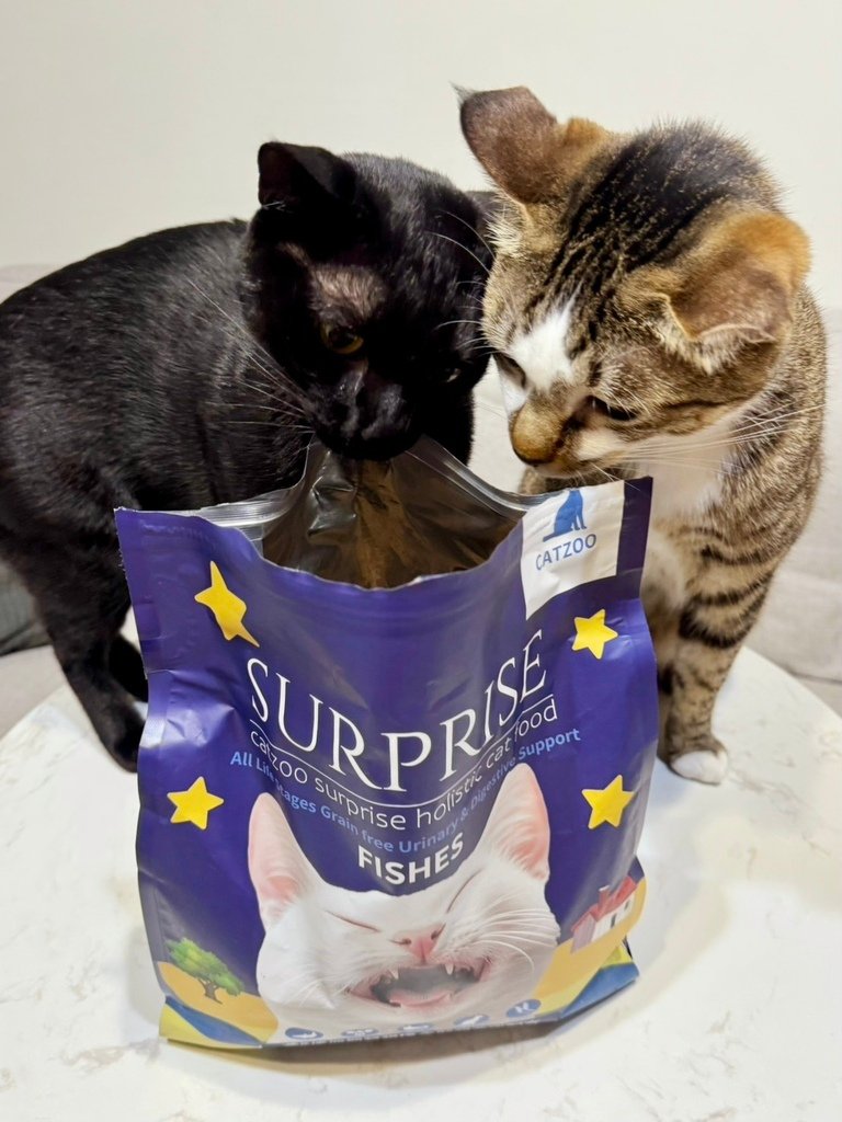 臭貓動物園 傻派surprise無穀貓飼料