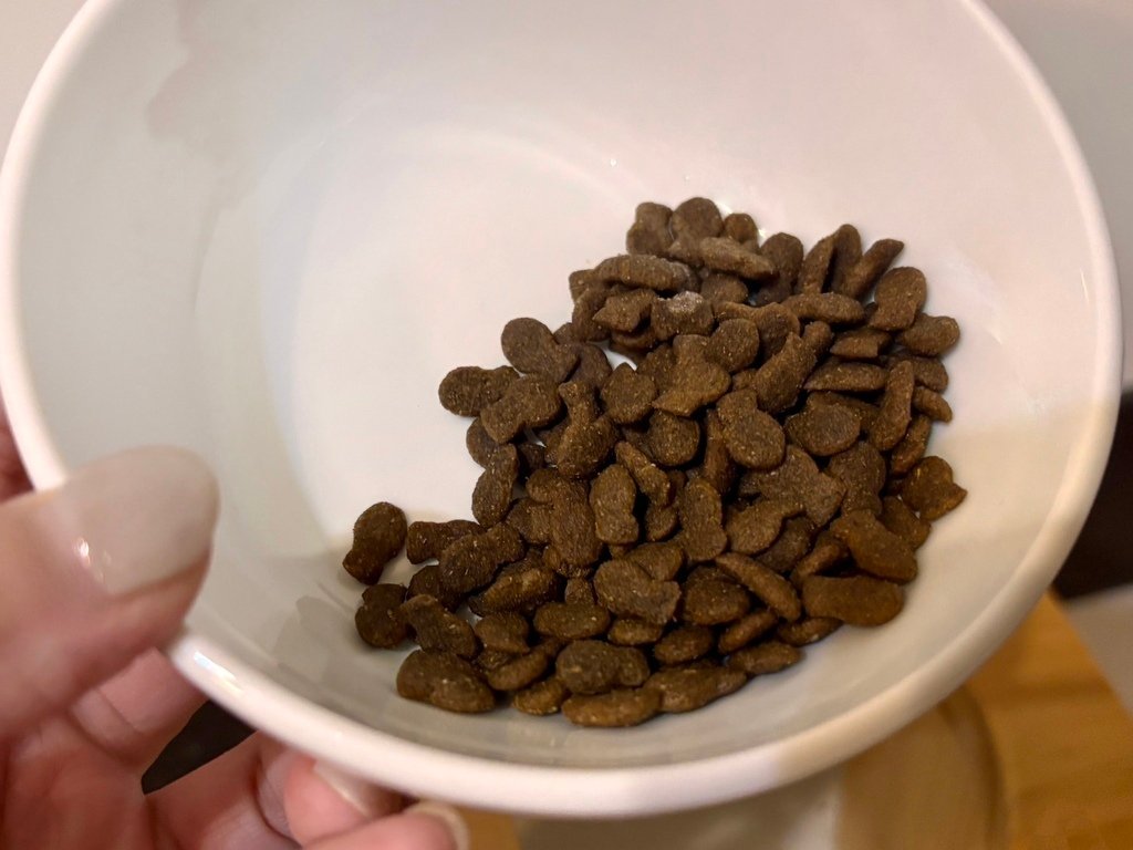 臭貓動物園 傻派surprise無穀貓飼料