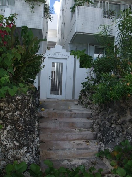 DSCF2375.jpg