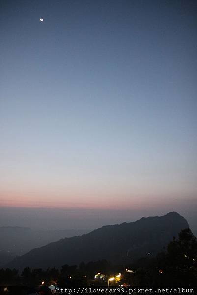 IMG_8305