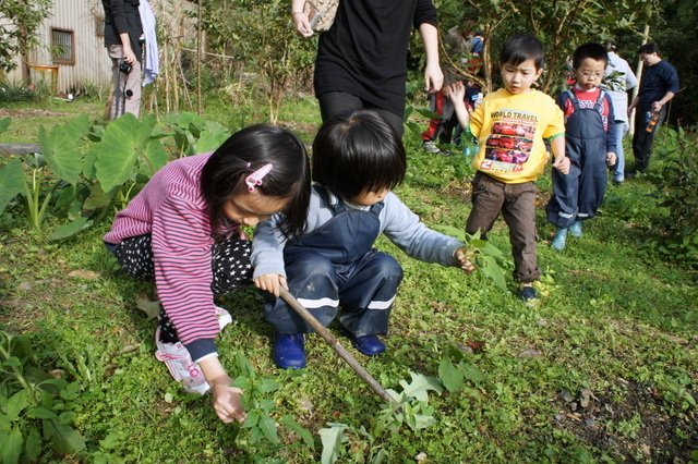 DSC04803.JPG