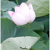 未命名.png