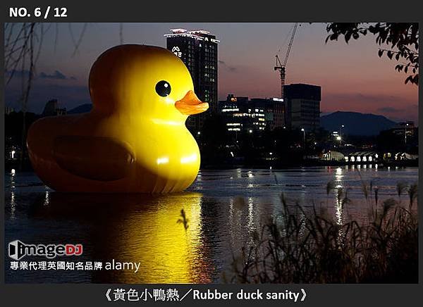 06-《黃色小鴨熱／Rubber duck sanity》