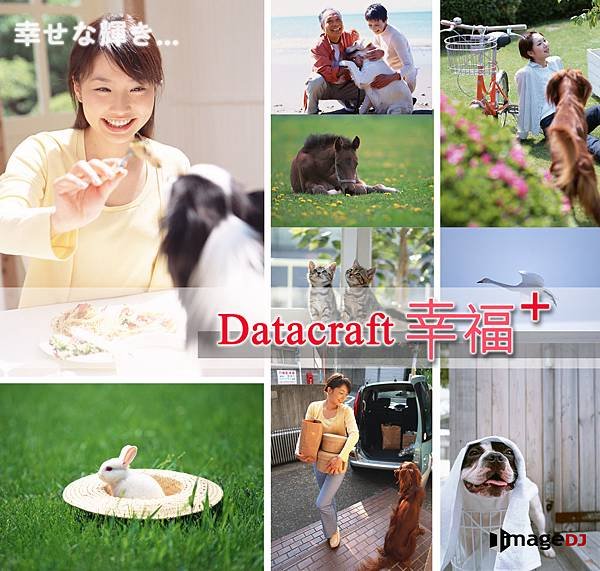 Datacratf幸福+可愛動物素材圖庫-stock_animals