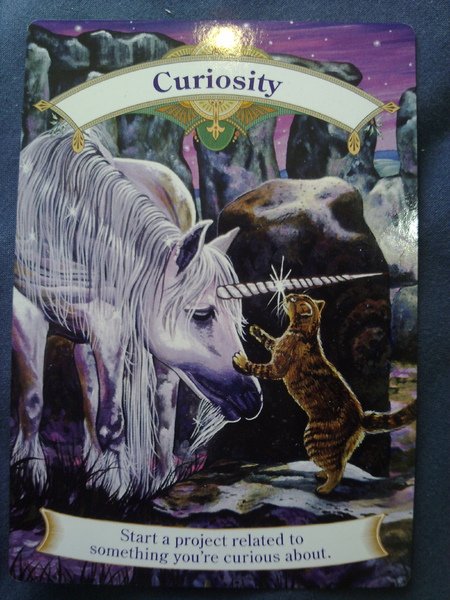 unicorns-curiosity