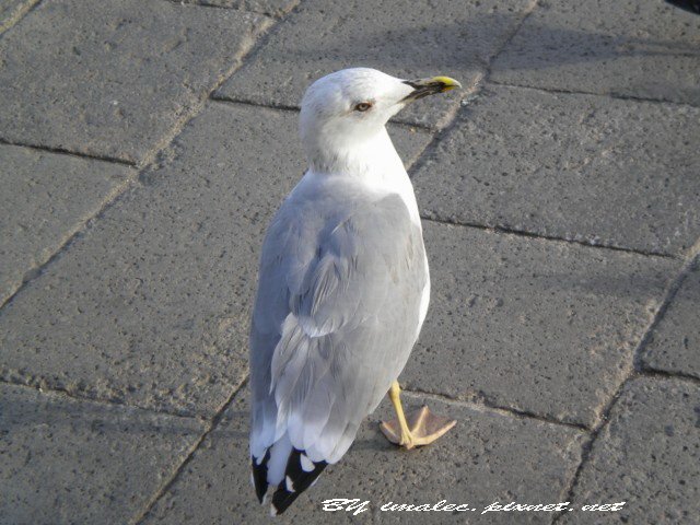 Image_292.jpg