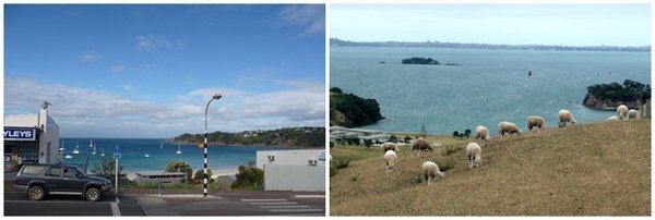 Waiheke7.jpg