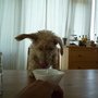 P1000833.JPG