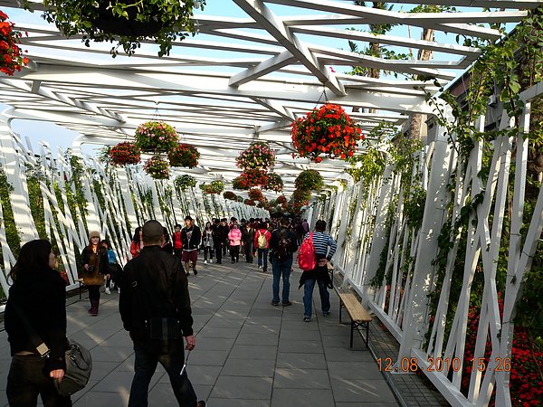DSCN1630.JPG