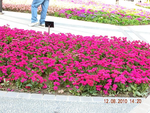 DSCN1600.JPG