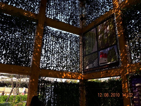 DSCN1612.JPG