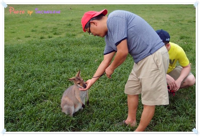 13 uncle feeding kangeroo.JPG