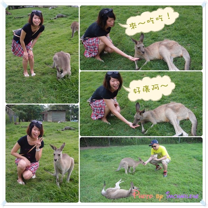 14 charlene feeding kangeroo.jpg