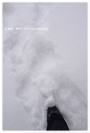 Day5-船長的家-積雪2-4s.jpg