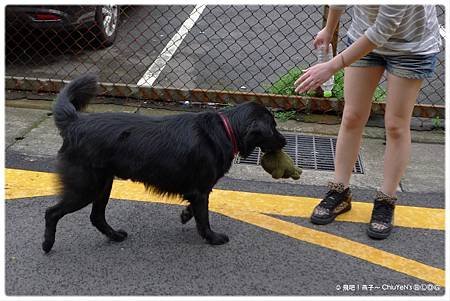 2015.8.30-歐熊2.jpg