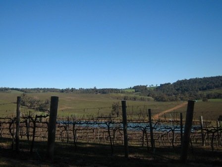 DSCN2901.JPG