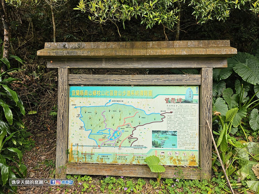 宜蘭旅遊員山望龍埤步道花田村宜蘭落羽松景點