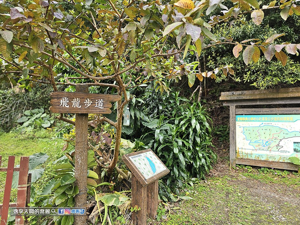 宜蘭旅遊員山望龍埤步道花田村宜蘭落羽松景點