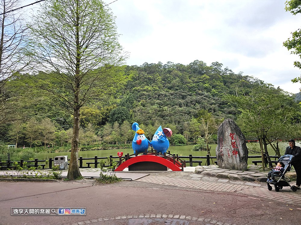 宜蘭旅遊員山望龍埤步道花田村宜蘭落羽松景點