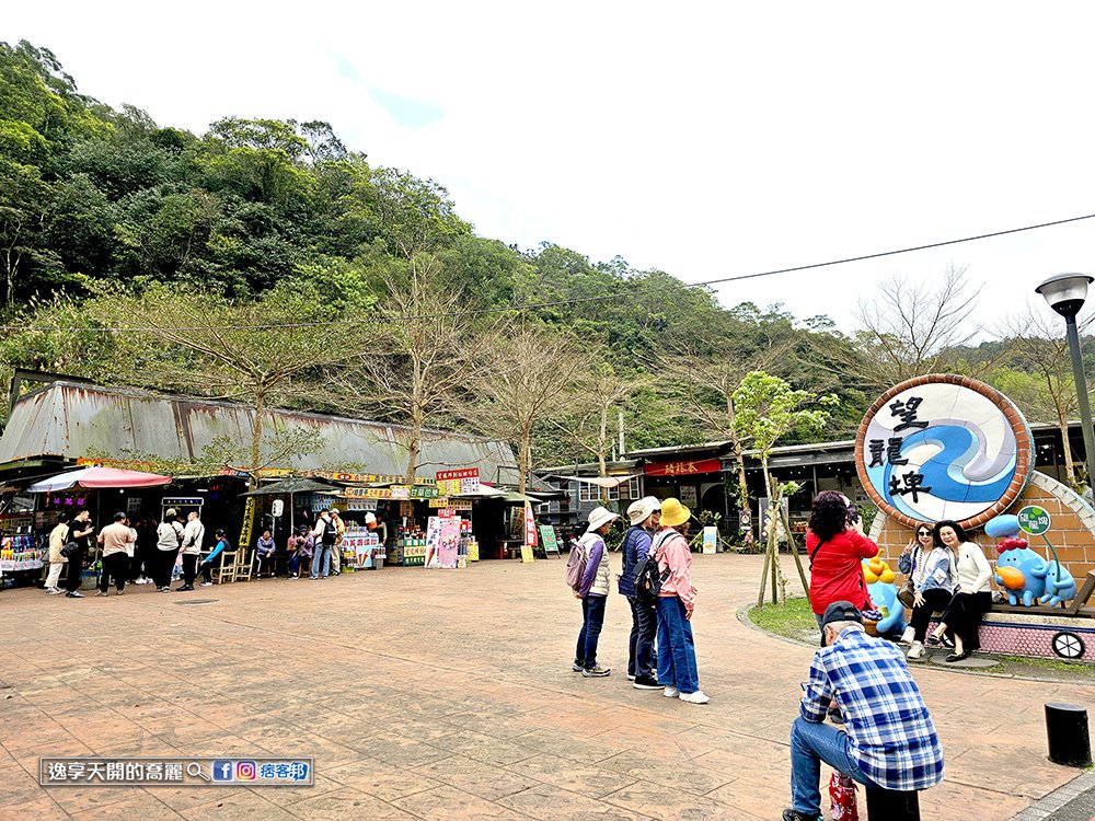 宜蘭旅遊員山望龍埤步道花田村宜蘭落羽松景點