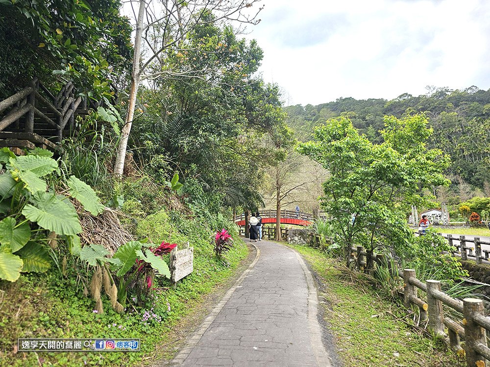 宜蘭旅遊員山望龍埤步道花田村宜蘭落羽松景點