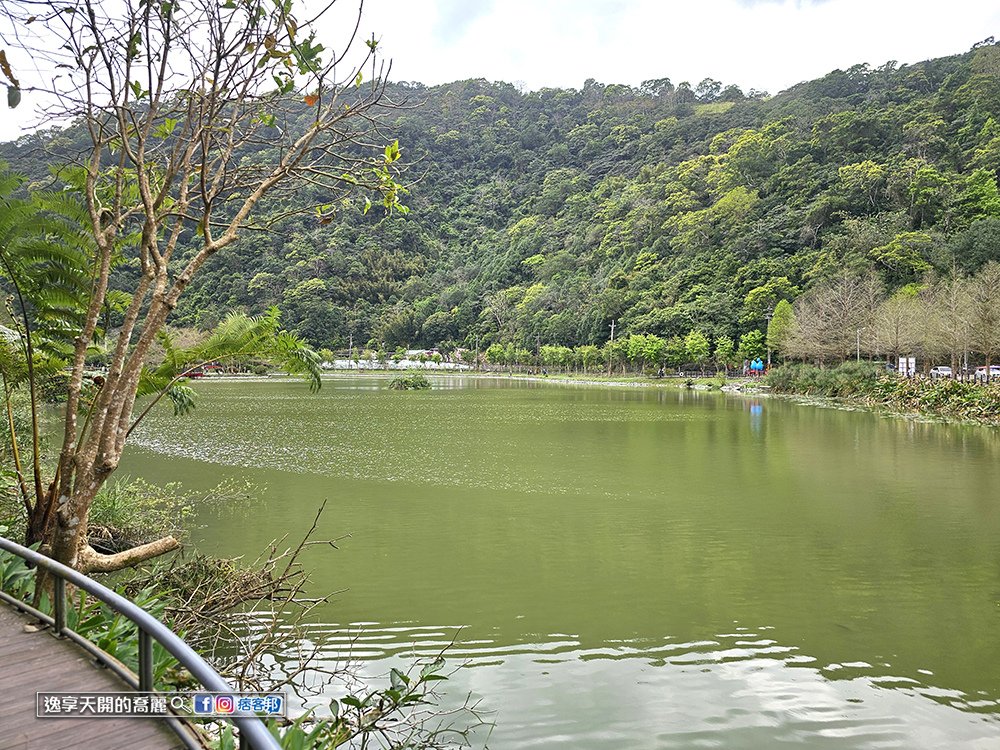 宜蘭旅遊員山望龍埤步道花田村宜蘭落羽松景點