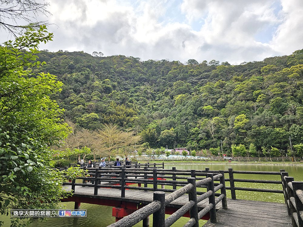 宜蘭旅遊員山望龍埤步道花田村宜蘭落羽松景點
