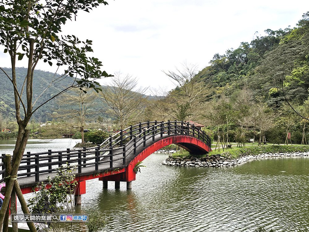 宜蘭旅遊員山望龍埤步道花田村宜蘭落羽松景點