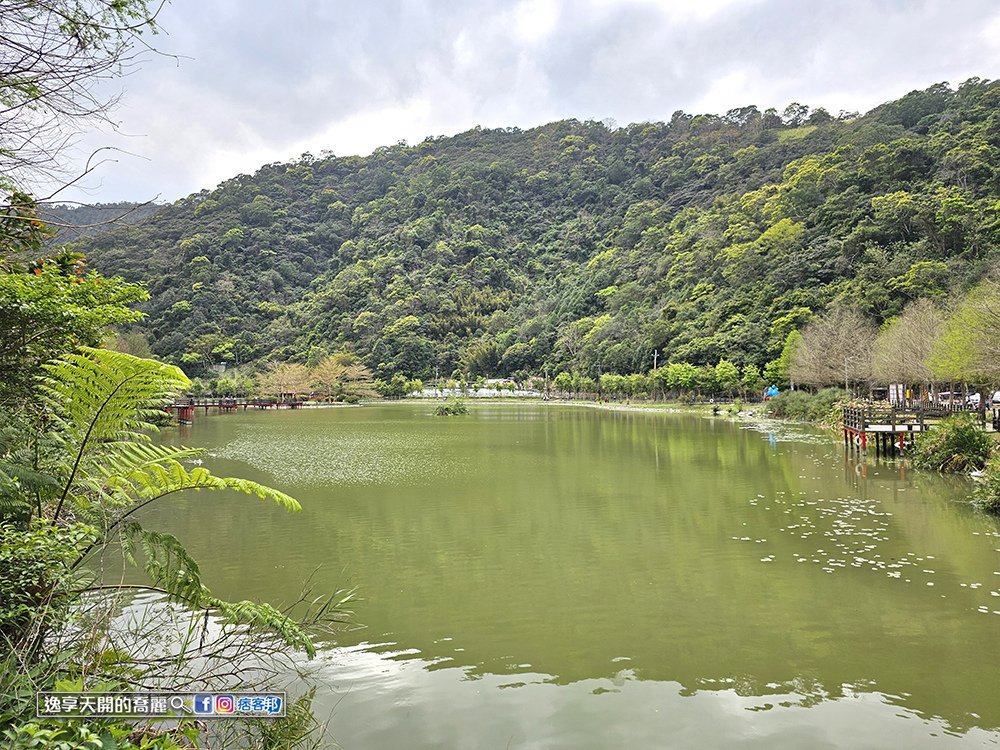 宜蘭旅遊員山望龍埤步道花田村宜蘭落羽松景點