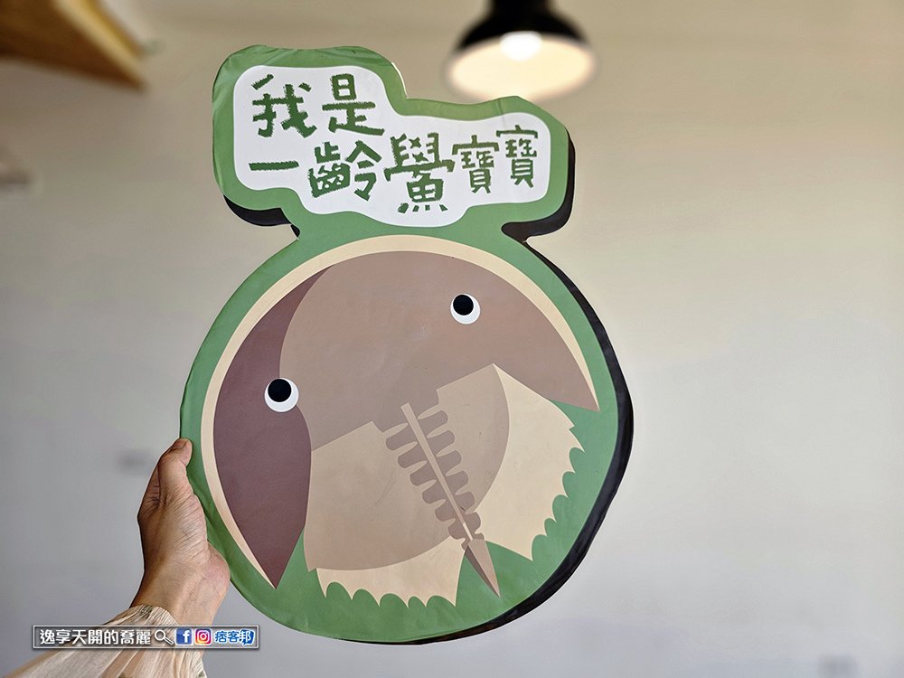 新竹景點香山濕地賞蟹步道如何前往與步道開放時間