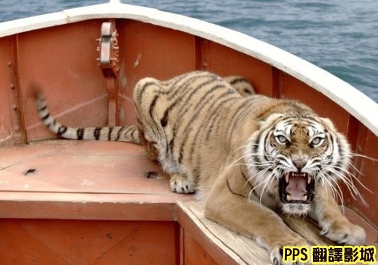 少年Pi的奇幻漂流劇照／少年派的奇幻漂流剧照Life of Pi image5新+