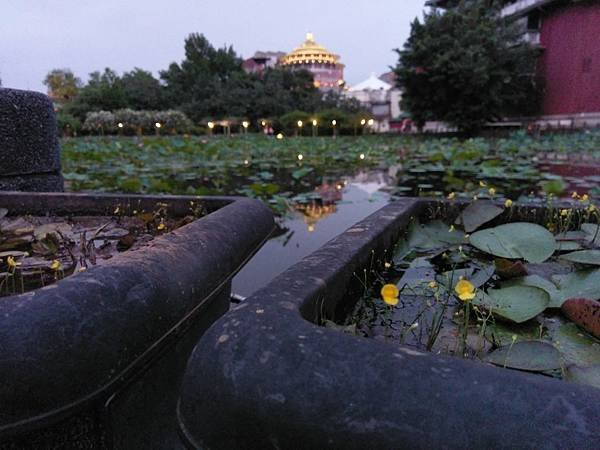 20190428植物園隨意拍_190428_0024.jpg